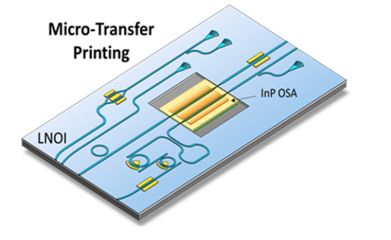 Heterogeneous-integration-of-InP-amplifiers-on-LNOI-circuits